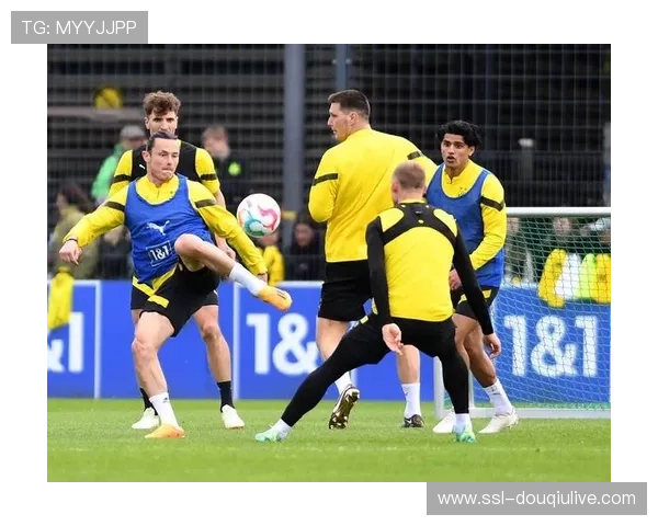 德甲开放训练日:球迷互动活动